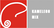 KAMELEON MIX D.O.O. - Автомобильные краски и лаки Beograd - Фото logo 