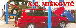 AUTO CENTAR MIŠKOVIĆ - Auto delovi Beograd - Slika logo 