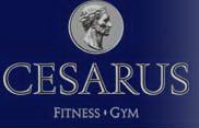 CESARUS FITNESS - Teretane, fitness Beograd - Slika logo 