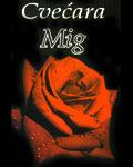 FLOWERS SHOP MIG - GOCA - Flowers, flower shops Beograd - Photo logo 