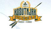 STRELIČARSKI KLUB KOŠUTNJAK - Стрельба из лука Beograd - Фото logo 