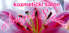 ANGEL S PLUS I FRIZERSKI SALON NINANA - Kozmetički saloni Beograd - Slika logo 
