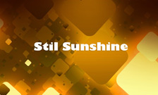 STIL SUNSHINE DOO - Butici Beograd - Slika logo 