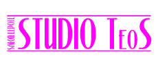 STUDIO TEOS - Frizerski saloni Beograd - Slika logo 