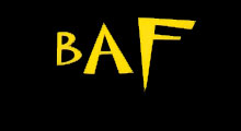 HAIR SALON BAF - Hairdressers Beograd - Photo logo 