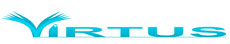 LANGUAGE SCHOOL VIRTUS - Foreign languages schools Beograd - Photo logo 