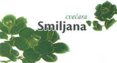 FLOWER SHOP SMILJANA - Flowers, flower shops Beograd - Photo logo 