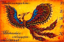 STUDIO FENIX NK - Manikiri, pedikiri Beograd - Slika logo 