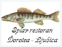 DOROTEA LJUBICA SPLAV RESTORAN - Splavovi Beograd - Slika logo 