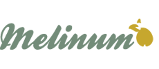 HOME FOR OLD MELINUM - Homes and care for the elderly Beograd - Photo logo 