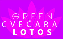 LOTOS DESIGN - Flowers, flower shops Beograd - Photo logo 