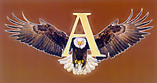 ALEKSANDAR BAR - Kafe barovi i klubovi Beograd - Slika logo 