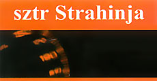 AUTO SERVIS STRAHINJA - Auspuh servisi Beograd - Slika logo 