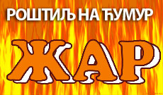 GRILL ŽAR - Ketering Beograd - Slika logo 