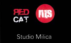 STUDIO MILICA - MASTER CARE 9B - Manikiri, pedikiri Beograd - Slika logo 
