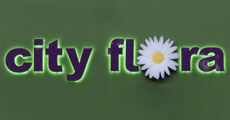 CVEĆARA CITY FLORA - Cveće, cvećare Beograd - Slika logo 
