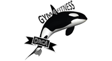 ORCA GYM - Gyms, fitness Beograd - Photo logo 