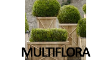 MULTIFLORA - Flowers, flower shops Beograd - Photo logo 