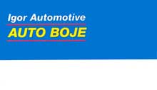 IGOR AUTOMOTIVE CAR COLORS - Car colors and varnish Beograd - Photo logo 