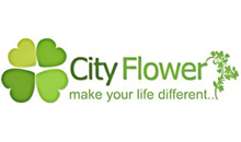 CITY FLOWER - Cveće, cvećare Beograd - Slika logo 