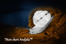 KOZMETOLOŠKI SALON MON CHERI ANĐELA - Эстетические, антивозрастные центры Beograd - Фото logo 