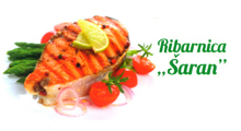 RIBARNICA ŠARAN PADINA (MS MILANOVIĆ) - Ribarnice, ribarstvo Beograd - Slika logo 