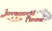 FLOWER SHOP JOVANOVIC - Flowers, flower shops Beograd - Photo logo 