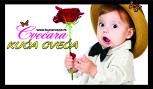 CVEĆARA KUĆA CVEĆA - Cveće, cvećare Beograd - Slika logo 