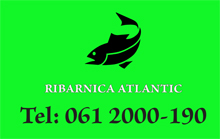 ATLANTIC FISH RIBARNICA - Ribarnice, ribarstvo Beograd - Slika logo 