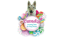 CANDY - GROOMING SALON FOR FURRY FRIENDS - Saloni za kućne ljubimce, šišanje pasa Beograd - Slika logo 