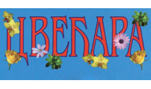 FLOWERSHOP G.V. - Flowers, flower shops Beograd - Photo logo 