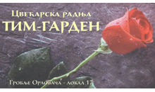 CVEĆARA TIM GARDEN - Цветы, флористы Beograd - Фото logo 