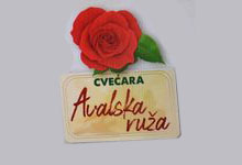 AVALKA RUZA FLORIST Flowers, flower shops Belgrade