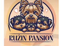 RUŽIN PANSION