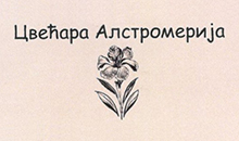 FLOWER SHOP ALSTROMERIJA 92 - Flowers, flower shops Beograd - Photo logo 
