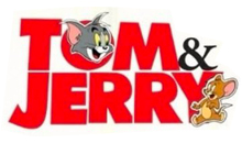 DEČIJA IGRAONICA TOM & JERRY
