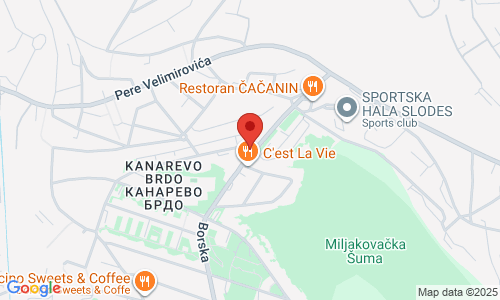 OPTIKA NEŠA Borska 41L, Rakovica